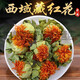 
Beijing Tongrentang Tibet Wild Saffron Flowers and Fruit Selected Chinese Herbal Medicine Saffron Fruit Whole Internet Celebrity Tea Saffron Head Tea Selected Saffron Head 250g