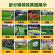 Jitu Simulated Lawn, Artificial Grass Canopy, Pet Grass Silencer Mat, Silent Air Conditioner Outdoor Unit, Iron Sheet Canopy, Rooftop Balcony, Mail Sample, Large Volume Special Vehicle, Specifications are all priced at 1 square meter
