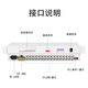 Xinwang Optical Communication (XWGT)