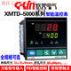 Xinling brand intelligent temperature control meter XMTD-5000 5211/5212/5232/5012/5511/5512/54 XMTD-5031K0-400 2 sets of alarms