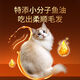OIMG Zhen Xiaozhu Cat Food Fresh Meat Nutritional Natural Chicken Beef Formula General Complete Price Food for Adult Cats and Young Cats Chicken Formula 5Jin Jin equals 0.5kg
