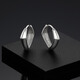 Trendy Acer Royal Fan Geometry PT950 platinum earrings women's earrings birthday gift pricing single model about 1.4g