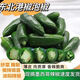 GEWOSI fresh Hong Kong peppers, Mexican peppers, pickled peppers, spicy, thin skin and thick flesh, seasonal farm-grown whole box supermarket vegetables, peppers 5*0.5kg, spicy