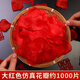 Sweet Spot Simulated Rose Petals 1000 Pieces Wedding Confession Decoration Hand Sprinkled Flower Proposal Making Romantic Wedding Room Decoration Supplies