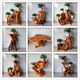 
Log root carved rack tree root natural ornament living room multi-layer bonsai rack fish tank solid wood base balcony bright yellow 16867