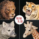 Süßes Heim -Kinderspielzeug simuliert Wildtiermodel Giraffe Elefant Tiger Löwe Cheetah Wolf Baby Kognitiver Orament 679 Großer weißer Kaninchen