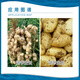 Leco Shuofang 60% Choline Chloride Peanut Potato Potato Growth Regulator Soluble 1kg