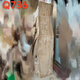Ouoety natürliche ganze Holz natürliche Kante Kampferholz Holz Old Material Massivholz Blatt Original ökologischer Tee Arbeitsplatte Holzbrett Custom Holz Q1278 Länge 150 Breite 33-41 Dicke 5.5 polierte Entbindung