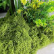 Runhuanian imitation moss landscaping fake moss yarn turf green plants micro landscape plant decoration artificial bionic lawn paving filamentous moss light green 50g can be paved 30*60cm