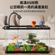 Turtle tank household landscaping filter circulation sun terrace climbing platform acrylic ecological mixed fish tank small turnover box water changer