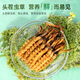 Guokuntang Fresh Cordyceps sinensis in Nagqu, Tibet, gerade Haare 0,4-0,6 g/Wurzel 50