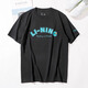 
Li Ning Bingsi Quick Dry Short Sleeve T-shirt Men's 2025 Summer New Fitness Running Loose T-shirt ATSV333 AHSV683-3 Black Quick Dry Cool XL