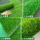 Liangxiang Simulated Lawn Carpet Plastic Artificial Green Fake Turf Kindergarten Balcony Outdoor Padding Courtyard Engineering Fence 2.5mx1m Spring Grass 2cm Encrypted Style