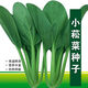
Green stems and small vegetable seeds in spring and summer, small cabbage, rapeseed, vegetable seeds, green vegetable seeds, all seasons of balcony pot plant #G4B[Xiaoseng seeds] 15931 capsules