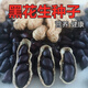Black peanut seeds, sown in spring and summer, purple and black peanut seeds, black seed peanuts, original peanuts for field use, net weight in shell, Jin Jin equals 0.5 kilograms, 1000 grams