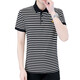Hagan gestreiftes Polohemd Herren kurzärmeliges Polo-Hemd koreanische Stil Slim Ice Seidenhemd Sommer Trendy Brand Casual Sticked Shirt 6626 Grey XL (120135Jin [Jin Equals Equals Equals])