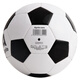 Agnite Football F1203 PVC regular 11-man machine sewing football No. 5 standard ball Send ball net F1203-classic black and white football No. 5 ball (regular 11-man machine)