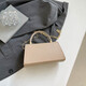 Brillante 2025 Nuevo bolso de diseño de nicho de moda, versátil y de alta gama para la bolsa cruzada de hombro de mujeres Bag Square Gold