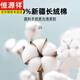 Hengyuanxiang men's pure cotton free iron long sleeve white shirt men's spring and autumn new casual formal suit shirt men's long 6623 light blue strips pure cotton free iron - with pocket 40 [weight 135 Jin [Jin equals 0.5 kg]-145 Jin [Jin equals 0.5 kg]]