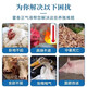 Chicken, Patchouli, Zhengqi, buffalo and sheep to prevent heatstroke, chicken, duck, goose, poultry and pig, anti-stress medicine, heat-clearing, heat-relieving and cooling oral liquid, three bottles for the price of two bottles