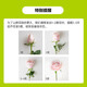 10 roses Yunnan flowers straight hair holiday flower gift bouquet home 38 goddess Women's Day gift 10 purple roses