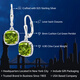 GEM STONE KING colorful gemstone earrings for women summer 925 silver inlaid with 4.9 carat green peridot earrings classic ins trend