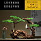 Ouoety New Chinese Zen Willkommen bei Pine Wurzelkunst Wurzel geschnitzte verwitterte Holzornamente Model Room Club Hotel Eingang TV -Schrank YM1396: Stil (voller Bild)