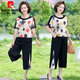 
Pierre cardin (pierre cardin) mother's fashionable summer suit new style 50-60-year-old middle-aged and elderly women's age-reducing chiffon short-sleeved wide-leg pants two-piece red flower [838 models] [XZE-split suit] 2XL [recommended 110-125 Jin [Jin equals about 0.5 kg]]