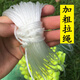 Yuzhiyuan three-layer fishing net wire mesh fishing net sticky fish net crucian carp imported green wire weighted sinking net 100 meters 160 meters long three layers 1.5 meters high 160 long 3-finger weighted sinking net