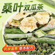 Beijing Tongrentang grünes Geld Willow Maulbeerblatt Doppelte Melontee Mais Rasur Mulberry Blatt Doppelte Melontee 200g Doppelte Melontee -Sahne Old Mulberry Blatt Bittere Melone [50 Taschen verbessert