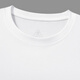 Renaultzer Langarmed T-Shirt Herren 2025 Herbst Neues Festkörper-Basis-Hemd einfacher gelegentlicher oberer Runde Runde Hals Pure Cotton Herbst Herbst