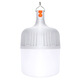 Biuyum led rechargeable light bulb outdoor power outage emergency lighting portable hanging light wireless plug-in-free super long battery life H160 100mm