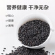 Beijing Tongrentang Black Beans, Riz noir, sésame noir, Wolfberry, Mulberry, combinaison de lait de soja, cinq bouillies noires, grains, riz noir + haricots noirs + sésame noir cuit + Wolfberry noire dans un total de 695 grammes