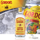 哥顿（Gordon’s）伦敦干味金酒杜松子酒 调酒基酒 英国原瓶进口洋酒 海外直采 金酒 750mL 6瓶 南非版