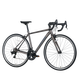 Xidesheng Road Bike RC160 Cycling Sports Adulto Adolescente Fitness Estudiante Transmisión de velocidad Fog de una sola niña gris/brillo 480 mm (165-175 cm)