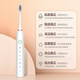 New electric toothbrush rechargeable adult soft-bristled waterproof sonic vibration home couple toothbrush Sakura pink base fast charging 12 brush heads + stand + travel box