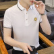 FJLT轻奢高档品牌polo衫男士T恤夏季新款时尚短袖翻领商务透气上衣 F6628（白色） L (建议115-130斤)