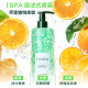 Rene Furterer Pequeñas cuentas verdes Strong Oil Control Shampoo 600ml Cabello anti-brotes refrescante Cabello suave y limpio alto craneal champú