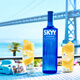 
Deep Blue SKYY Vodka VODKA Blue Sky Vodka Original bottle imported foreign wine 750ML*2 double gift box