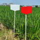 Benxinnongda ground brand plastic free combination gardening plant reminder card farm field test brand flower label white 60cm (1 piece)
