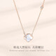 Wei Ci 2025 New Necklace Women's Four-leaf Clover Plated 18K Rose Gold Pendant Color Gold Clavicle Chain as a Gift for Your Girlfriend Four-leaf Clover Necklace (Rose Gold)
