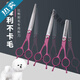 Bichon Frize Dog Shearing Scissors Set Puppy Hair Trimming Artifact Pet Scissors Grooming Tools and Supplies Straight Scissors + Climbing Scissors + Dental Scissors + Steel Comb + Bag
