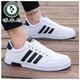Spechtschuhe koreanische Stil Teen Casual Sneakers Leder Trendy Herrenschuhe Herbst Studentin weiße Top -Leinwandschuhe Männer 3881 Weiße Lederflächen wasserdicht 38