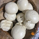 New national standard for germ containing GB1355-2021 Farmhouse self-grinding flour without extraction and eat with confidence 10Jin[Jin equals 0.5 kg] Original flavor