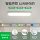 大观园过道灯走廊灯led吸顶灯现代简约北欧长条客厅灯书房阳台灯具263 3892-白60cm-无极精灵24W-全光谱