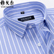 Генеральный директор Yageol Men's Completeme Relave Summer Cotton Business Casual Professional Wear Anti-Wrinkle Free-железа рубашка среднего возраста DX6626 42 Предложения [160-170JIN [JIN равен 0,5 кг]]