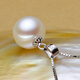 Fat Donglai same style pearl pendant without chain freshwater mother-of-pearl single clavicle chain classic simple style 925 silver necklace 8mm-9mm