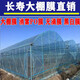 Greenhouse plastic film, non-drip film, agricultural greenhouse film, PO film, vegetable planting, anti-fog, high light transmittance, anti-aging, longevity film, blue film 8S imported longevity film, thickened, 3m wide, how many meters long, take a few pieces, send the whole picture