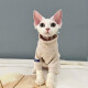 Yahesphynx cat clothes plus velvet warm hairless cat clothes autumn and winter clothing cold protection couple pet clothes off-white close-fitting stretch sweater M-medium size