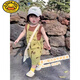G.Duckkids Girls Summer Anzug modische und modische Babymädchen Super niedliche süße Jungen Kinder-Overalls Sommer zweiteiler auf den Markt